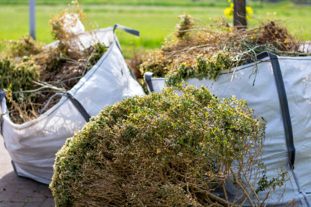 Debris Removal in Sea Breeze, NC